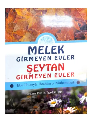 Melek Girmeyen Evler, Şeytan Girmeyen Evler