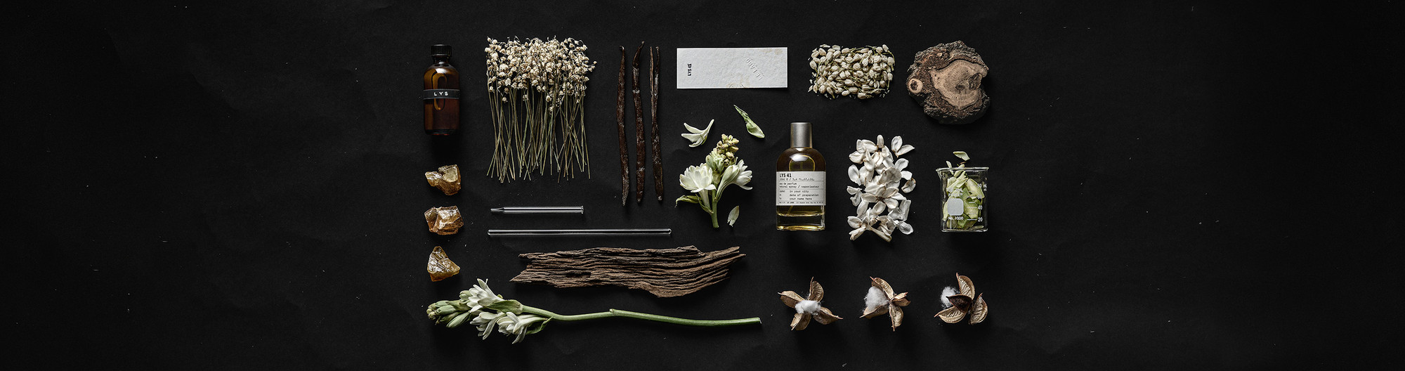 Le Labo Le Labo LYS 41: Yasemin ve sümbülteber koku profili yazısı kapak görseli
